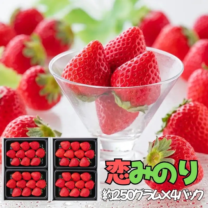 【完熟・採れたて】 特別栽培 イチゴ 恋みのり 250g×4パック 12月下旬～4月発送 いちご 苺 果物 フルーツ 佐賀県 佐賀市 ：B155-021