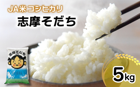  令和6年産 コシヒカリ 5kg JA米「志摩そだち」 ブランド米 米 白米 精米 コシヒカリ お米 5kg ご飯 伊勢 志摩 三重県 11000円 一万千円