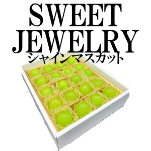 ＜2026年発送分先行予約＞山梨県南アルプス市産 シャインマスカット 約300g（20粒） 粒ギフト SWEET JEWELRYALPAH014
