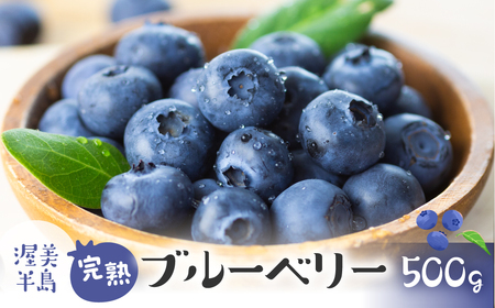完熟　ブルーベリー　500g　　