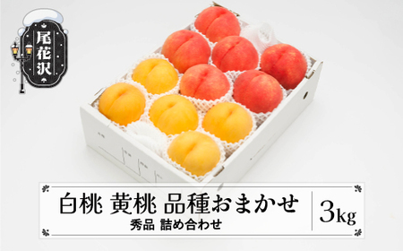 先行予約 もも 白桃 有袋黄桃 秀品 詰め合わせ 品種おまかせ 3kg フルーツ 化粧箱入 果物 アソート 詰合せ 令和8年産 2026年産 山形県産 桃 黄桃 モモ 送料無料 ※沖縄・離島への配送不可ns-mohot3