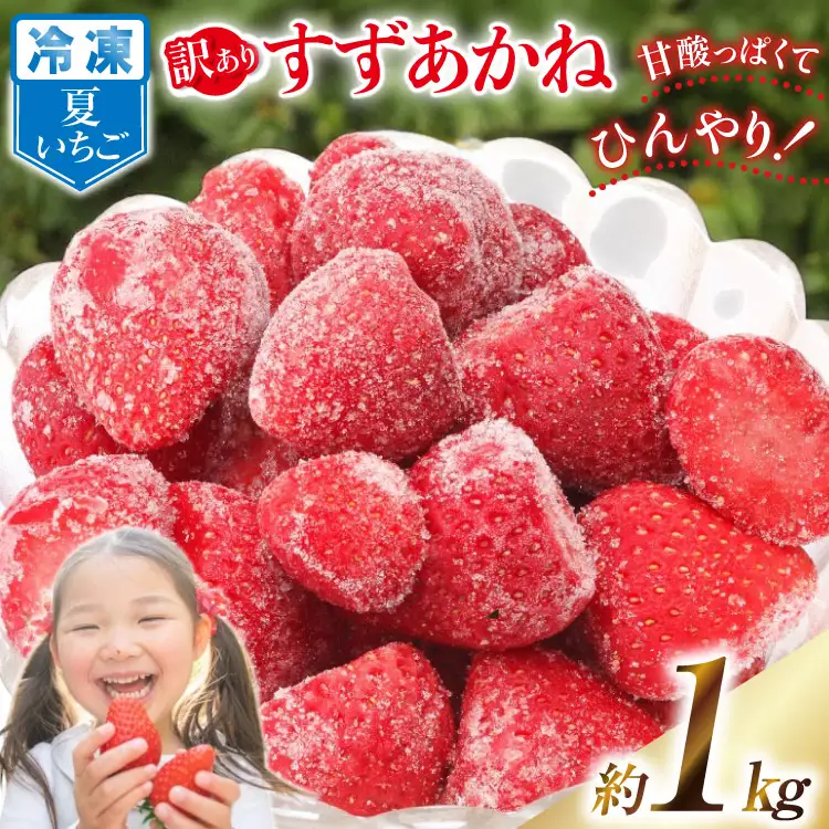 訳あり 冷凍 夏いちご すずあかね 約1kg 
