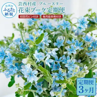 《3ヵ月定期便》 ブルースター 花束 初回花瓶付 延命剤付き