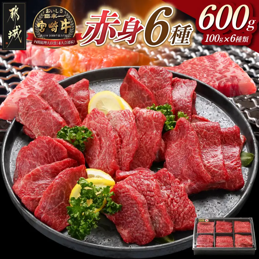 宮崎牛赤身6種600g〔16-2601〕_(都城市) 牛肉 ウデミスジ ウデ三角 ウデクリ とうがらし ウデ赤身 ウデカルビ 約100g 計600g 6種類セット赤身