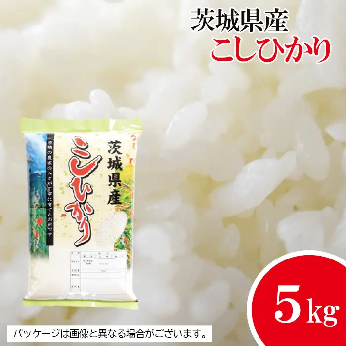 【坂東市産】【令和7年産米】茨城コシヒカリ5kg ／ こしひかり 令和7年 新米 米 お米 おこめこめ コメ 精米 白米 ご飯 国産米 5kg 5キロ 旨味 艶 こし 粘り 柔らかな食感 ガッツリ 弁当 おいしい お取り寄せ 産地直送 産直 坂東市産 茨城県産 茨城産 茨城県 特産品 No.474