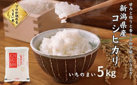 令和6年産新米 新潟県産コシヒカリ「いちのまい」5㎏ 米・食味鑑定士お墨付き 令和6年産 精米したてを発送 こしひかり 糸魚川 白米 あぐりいといがわ 株式会社糸魚川農業興舎