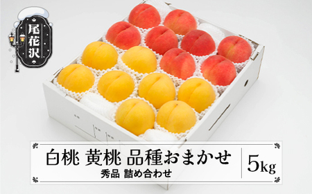 先行予約 もも 白桃 有袋黄桃 秀品 詰め合わせ 品種おまかせ 5kg フルーツ 化粧箱入 果物 アソート 詰合せ 令和8年産 2026年産 山形県産 桃 黄桃 モモ 送料無料 ※沖縄・離島への配送不可 ns-mohot5
