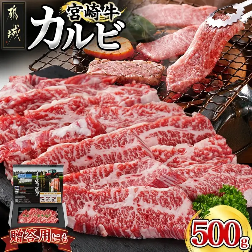 宮崎牛カルビ 500g〔18-4205〕_(都城市) 宮崎牛 牛肉 カルビ 500g 焼肉 BBQ バーベキュー ギフト 贈答用