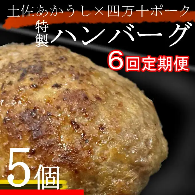 土佐あかうしと四万十ポークのハンバーグ５個セット【６回定期便】 頒布会