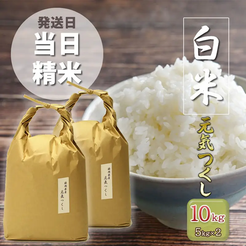 R7年産 米 10kg (5kg×2袋) 元気つくし 福岡県産 R7年産