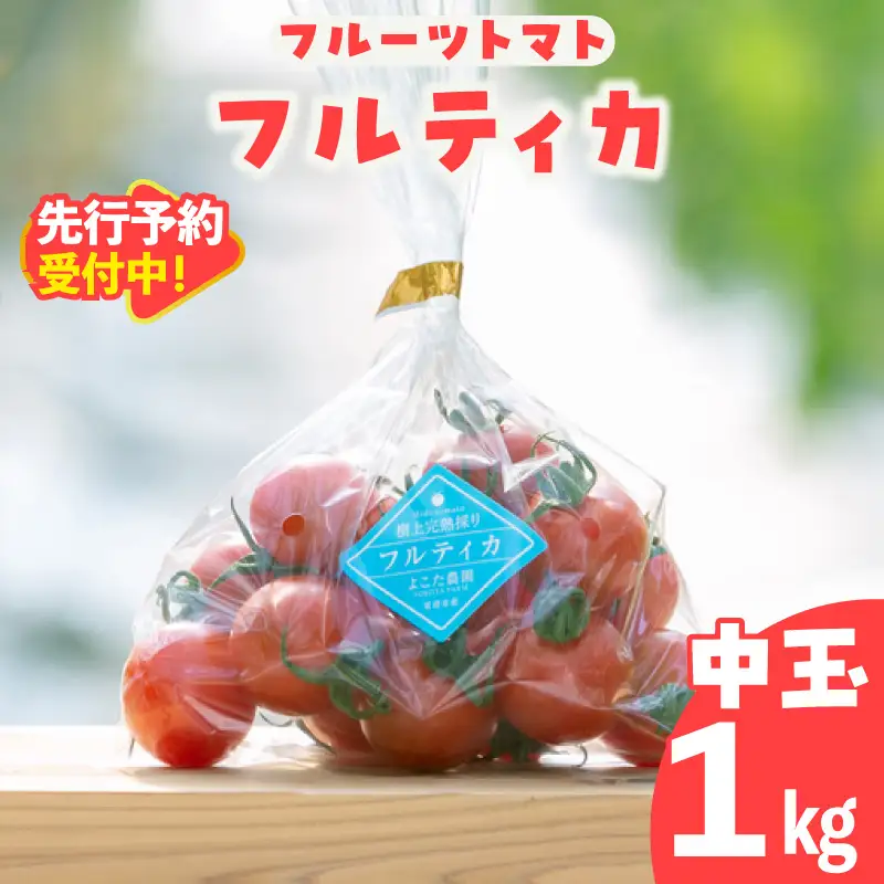 【先行予約】【2027年1月中旬以降発送】フルーツトマト　中玉フルティカ1kg