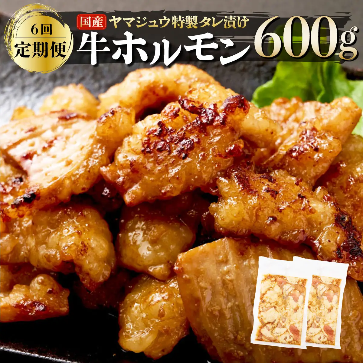 ヤマジュウの特製タレ漬け！国産牛ホルモン６００ｇ【６回定期便】 頒布会