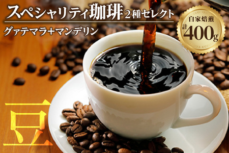 【スペシャリティ珈琲豆】グァテマラ+マンデリン