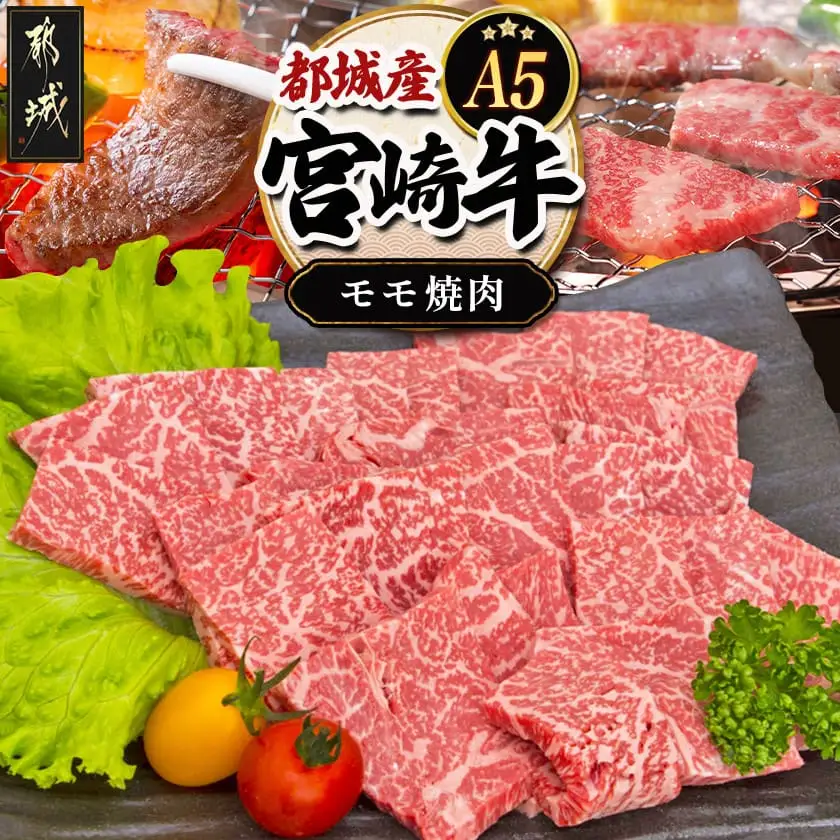 宮崎牛モモ焼肉(A5)〔MJ-A002〕_(都城市) 牛肉 都城産宮崎牛(A5ランク) モモ焼肉 500g 最高等級の5等級 国産黒毛和牛 霜降り牛肉 焼き肉/バーベキュー/鉄板焼き ギフト 贈答用