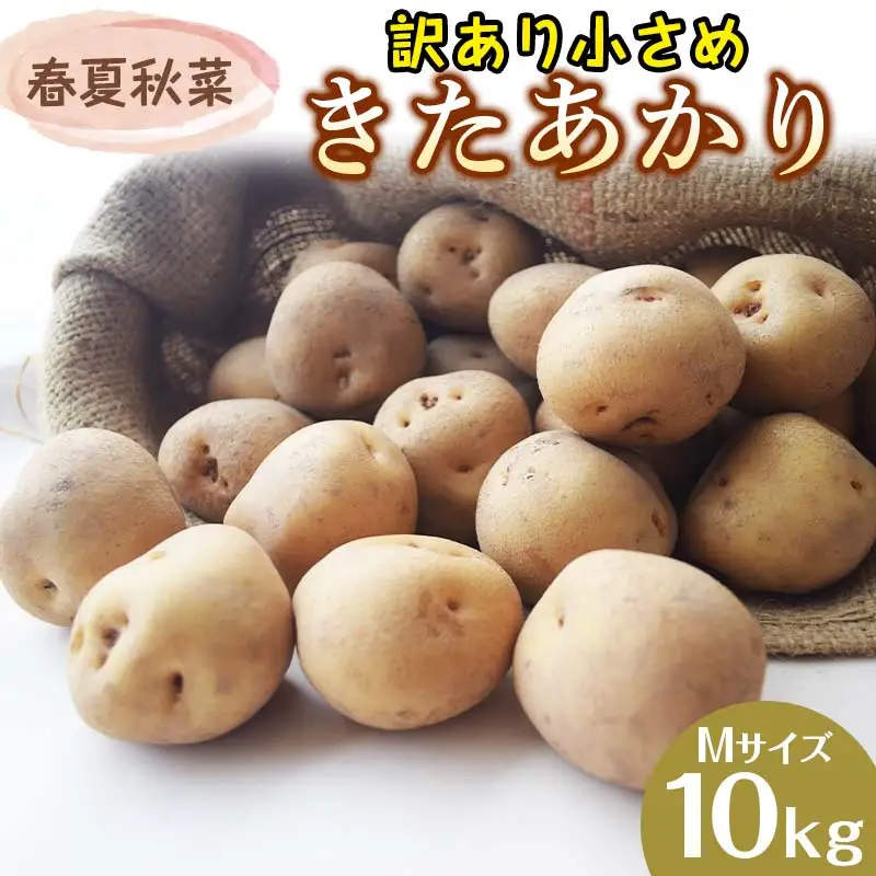 『春夏秋菜』訳あり 小さめ きたあかり Mサイズ 10kg 2026年9月より順次発送 じゃがいも ジャガイモ EB8-0201