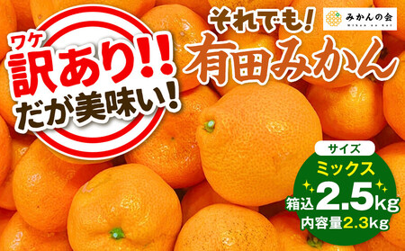 訳あり それでも 有田みかん 箱込 約2.3kg みかんのサイズミックス B品 和歌山県 産地直送 家庭用みかん 2025年11月中旬より順次出荷予定