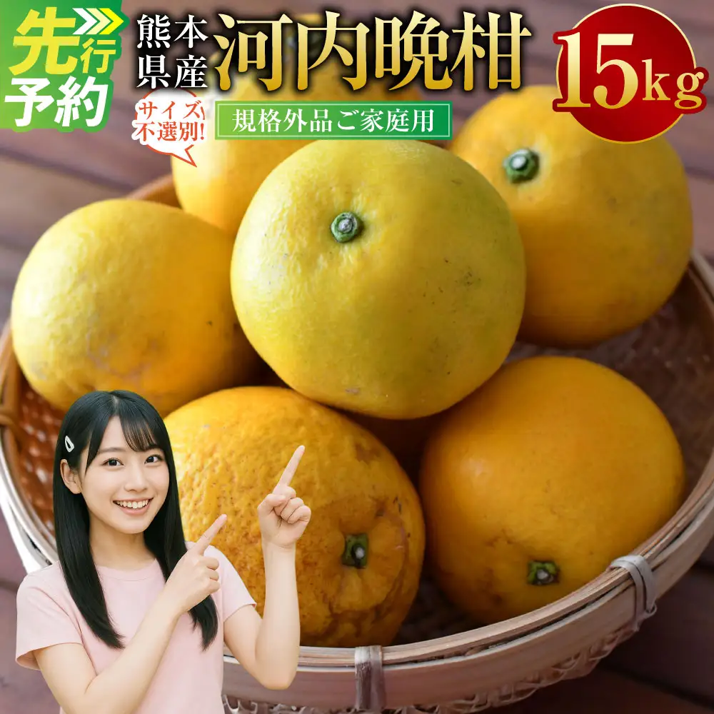 ＜ R8年熊本地震復興支援 ＞【規格外品】河内晩柑 ご家庭用 15kg サイズ不選別【2027年3月下旬～6月下旬迄順次発送予定】 晩柑 柑橘 晩柑 くだもの 果物 フルーツ