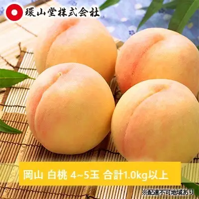 桃 2026年 先行予約 岡山 白桃 4～5玉 合計1.0kg以上 岡山県産 桃
