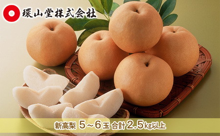 梨 2026年 先行予約 新高 梨 5～6玉 合計2.5kg以上 なし ナシ 岡山県産 国産 フルーツ 果物 ギフト 環山堂 