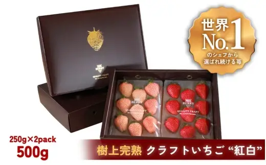 【完熟クラフト苺BERRY】【完熟クラフト苺BERRY】有名シェフ御用達【樹上完熟樹 紅白いちごセット】約500g（出荷2026年12月上旬～2027年5月下旬）【yuji0010】