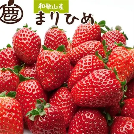 ＜1月より発送＞朝摘み完熟まりひめ約1.2kg(300g前後×4P)【和歌山ブランド苺】【いちご】【配送不可地域：離島・北海道・沖縄県・東北・関東・九州】【1148490】