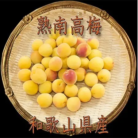 2027/6月より発送【梅干し・梅酒用】紀州和歌山の熟南高生梅2LorL-2kg【配送不可地域：離島・北海道・沖縄県】【1294809】