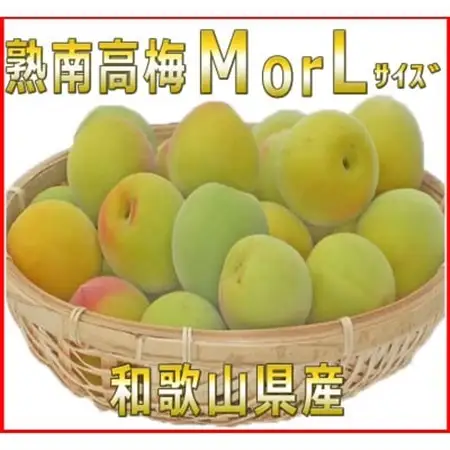 2027/6月より発送【梅干し・梅酒用】紀州和歌山の熟南高生梅　MorL-2kg【配送不可地域：離島・北海道・沖縄県】【1294812】