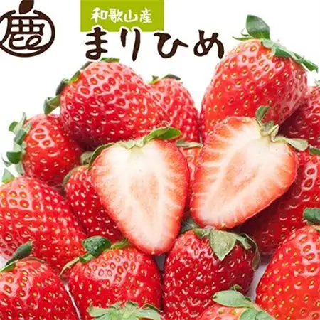 ＜1月より発送＞朝摘み完熟まりひめ約600g(300g前後×2P)【和歌山ブランド苺】【いちご】【配送不可地域：離島・北海道・沖縄県・東北・関東・九州】【1311842】