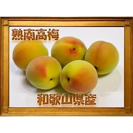 2027/6月より発送【梅干し・梅酒用】紀州和歌山の熟南高生梅4Lor3L-10kg【配送不可地域：離島・北海道・沖縄県】【1375197】