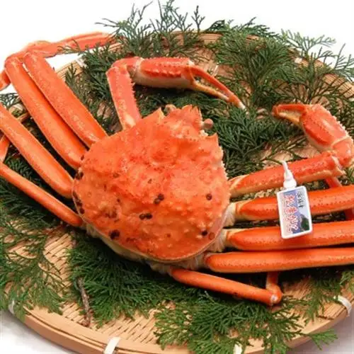 松葉ガニの本場より活〆茹でたてを即出荷　釜茹で松葉ガニ(冷蔵)　1枚　約800g【配送不可地域：離島・北海道・沖縄県・東北】【1040270】