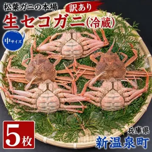 松葉ガニの本場　訳あり・生セコガニ(冷蔵)中サイズ　5枚　兵庫県新温泉町　ご家庭で茹でてアツアツを【配送不可地域：離島・北海道・沖縄県・東北】【1132205】