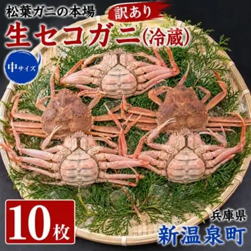松葉ガニの本場　生セコガニ(冷蔵)中サイズ　10枚(訳あり)　兵庫県新温泉町　ご家庭で茹でてアツアツ【配送不可地域：離島・北海道・沖縄県・東北】【1132206】
