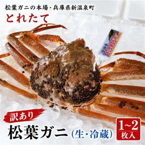 松葉ガニの本場・兵庫県新温泉町　とれたて　訳あり・松葉ガニ(生・冷蔵)　1～2枚入【配送不可地域：離島・北海道・沖縄県・東北】【1149852】