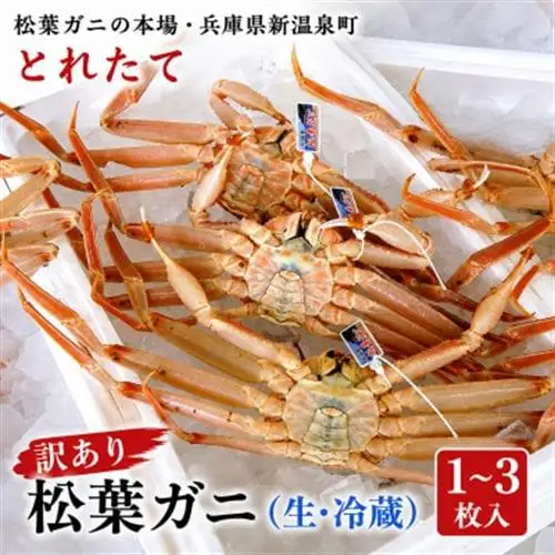松葉ガニの本場・兵庫県新温泉町　とれたて　訳あり・松葉ガニ(生・冷蔵)　1～3枚入【配送不可地域：離島・北海道・沖縄県・東北】【1149853】