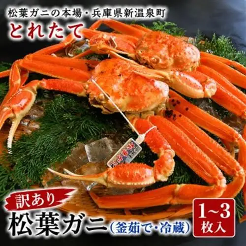 松葉ガニの本場・兵庫県新温泉町　とれたて　訳あり・松葉ガニ(釜茹で・冷蔵)　1～3枚入【配送不可地域：離島・北海道・沖縄県・東北】【1149855】