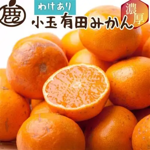 家庭用 小さな有田みかん2.5kg+250g(傷み補償分)【光センサー選果】【訳あり】【配送不可地域：離島・北海道・沖縄県】【1440253】