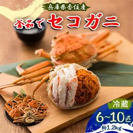 【先行予約】兵庫県香住産　釜茹でセコガニ6～10匹入り(約1.2kg)【配送不可地域：離島・北海道・沖縄県・東北・関東・九州】【1091752】