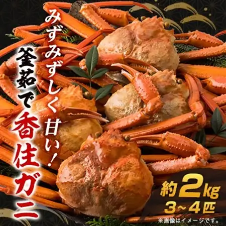 【先行予約】兵庫県香住産 釜茹で香住ガニ(紅ズワイガニ)3～4匹入(約2kg)【配送不可地域：離島・北海道・沖縄県・東北・九州】【1399219】