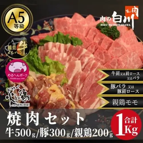 おやべのお肉焼肉セット1kg(和牛カルビ500g・豚300g・親鶏200g)【配送不可地域：離島・北海道・沖縄県・東北・中国・四国・九州】【1291450】