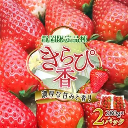 先行受付/2026年12月上旬発送開始!抜群の美味しさ!静岡限定:きらぴ香いちご 280g×2パック_きらぴ香 いちご 静岡_【配送不可地域：離島・北海道・沖縄県・東北・中国・四国・九州】【1451174】
