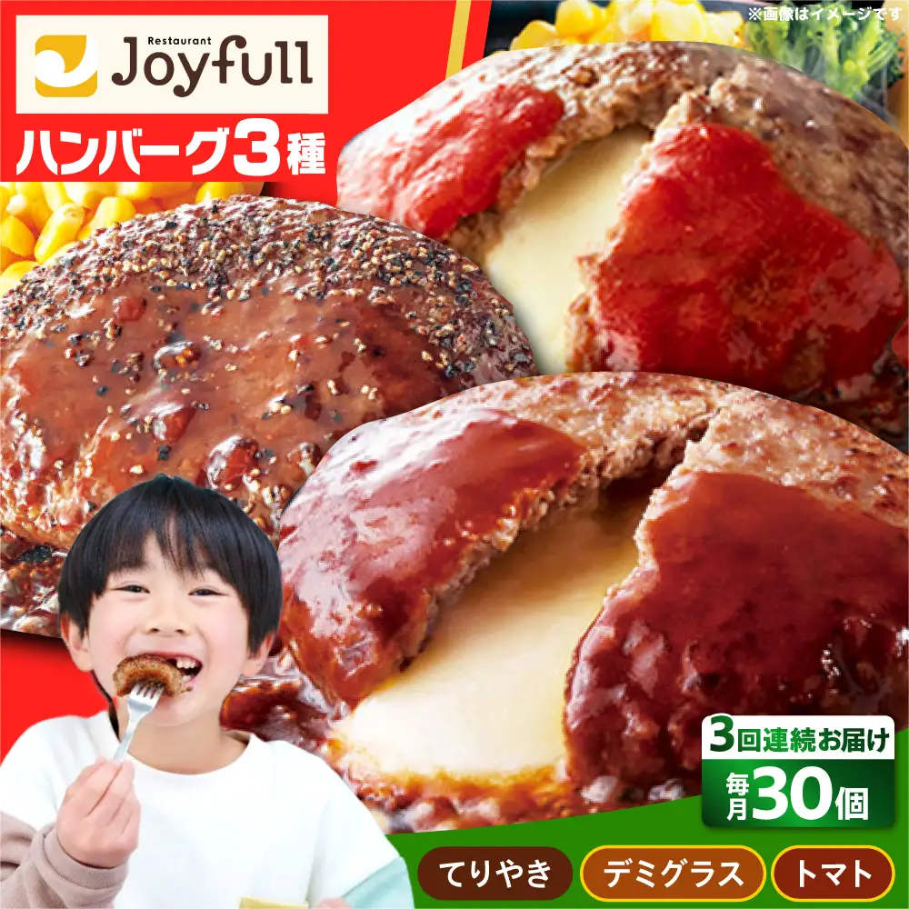 【全3回定期便】ジョイフル ハンバーグ スペシャル 詰め合わせ 3種 30個 セット[ABAA042]