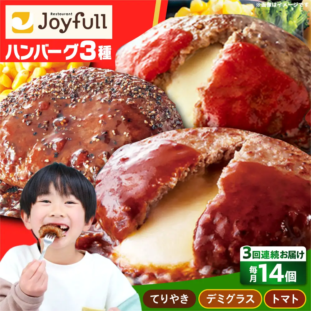 【全3回定期便】ジョイフル ハンバーグ スペシャル 詰め合わせ 3種 14個 セット[ABAA057]