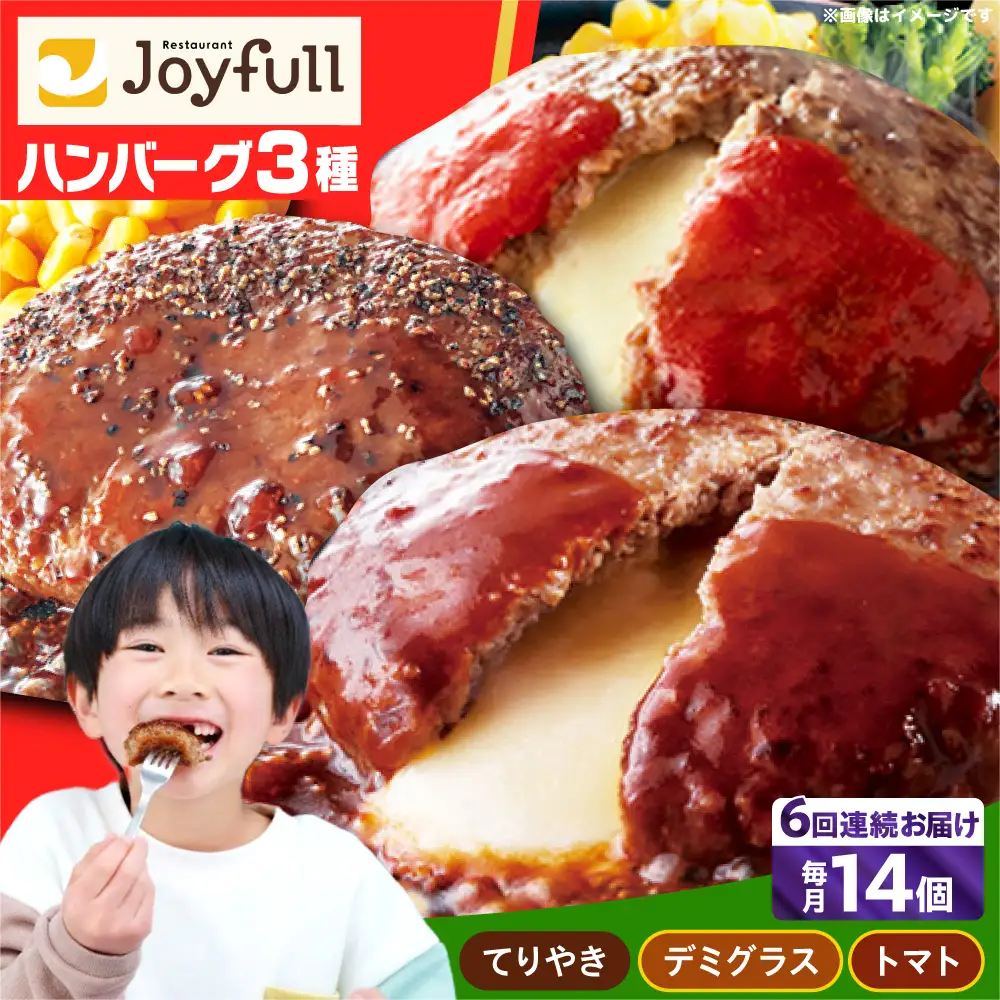 【全6回定期便】ジョイフル ハンバーグ スペシャル 詰め合わせ 3種 14個 セット[ABAA058]