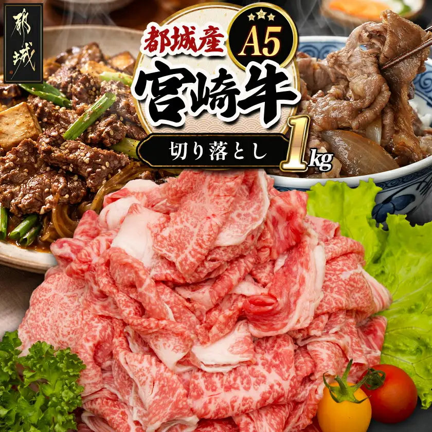 宮崎牛切り落とし(A5) 〔AC-A0-001〕_ (都城市) 牛肉 都城産宮崎牛(A5) 切り落とし 1kg(250g×4パック) 『内閣総理大臣賞』を受賞した生産者のお肉です！ ブランド牛 国産黒毛和牛 霜降り 切落し合計1キロ すき焼き・しゃぶしゃぶに A5等級