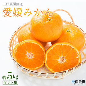 三好農園直送 西予市産 愛媛みかん ５kg ギフト用(L～Mサイズ) MMN0015
