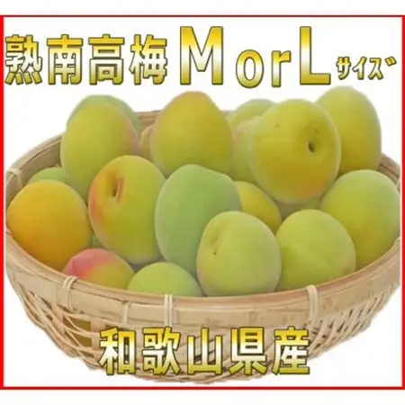 2027/6月より発送【梅干し・梅酒用】紀州和歌山の熟南高生梅　MorL-10kg 【配送不可地域：離島・北海道・沖縄県】【1375213】