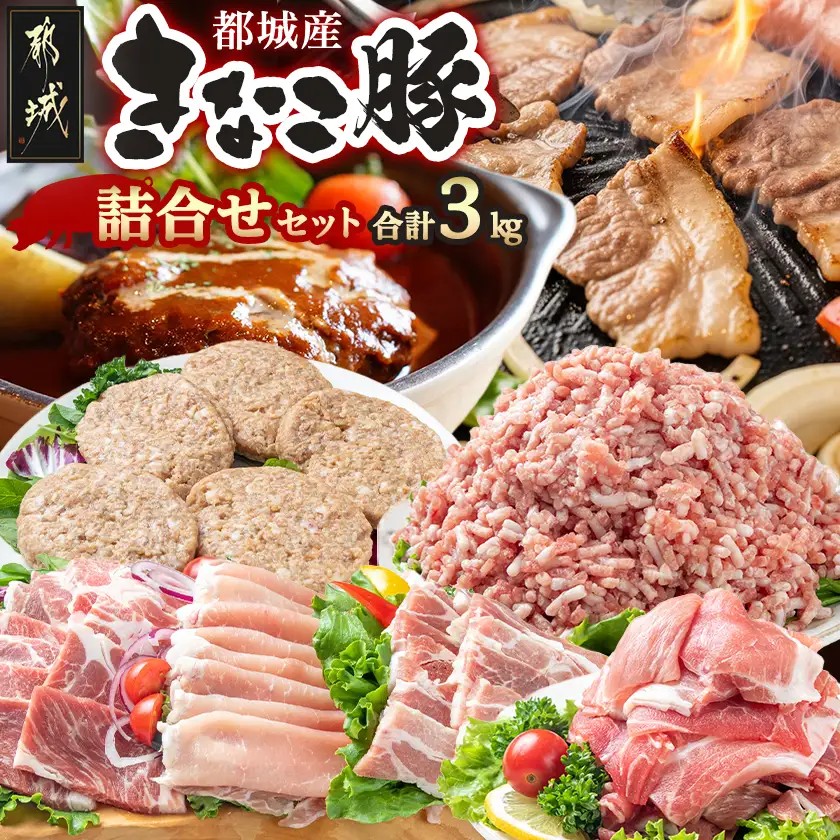 「きなこ豚」詰合せ3kg〔AD-12-003〕_(都城市) ブランド豚 柔らかい豚肉 豚バラ焼肉用 豚ロース生姜焼き 豚肩ロース焼き肉 ウデモモ小間切れ モモミンチ ハンバーグ おかず