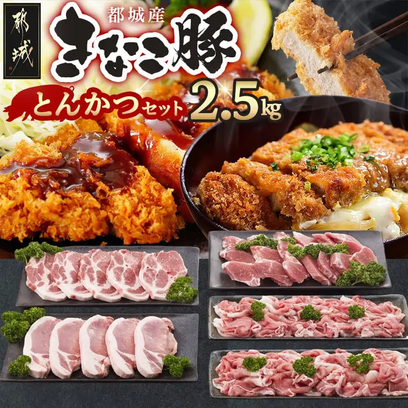 「きなこ豚」とんかつ2.5kgセット〔AD-12-004〕_(都城市) ブランド豚のやわらかい豚肉 豚ロースとんかつ 豚肩ロース豚カツ ヒレトンカツ ウデ・モモ小間切れ ひれ肉 腕 もも こま切れ