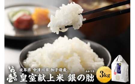 ＜テレビで紹介されました！＞令和7年度 皇室献上米『銀の朏』3kg 中津川市加子母産 栽培期間中化学肥料不使用 米 お米 コメ ごはん ご飯 食品 F4N-1863