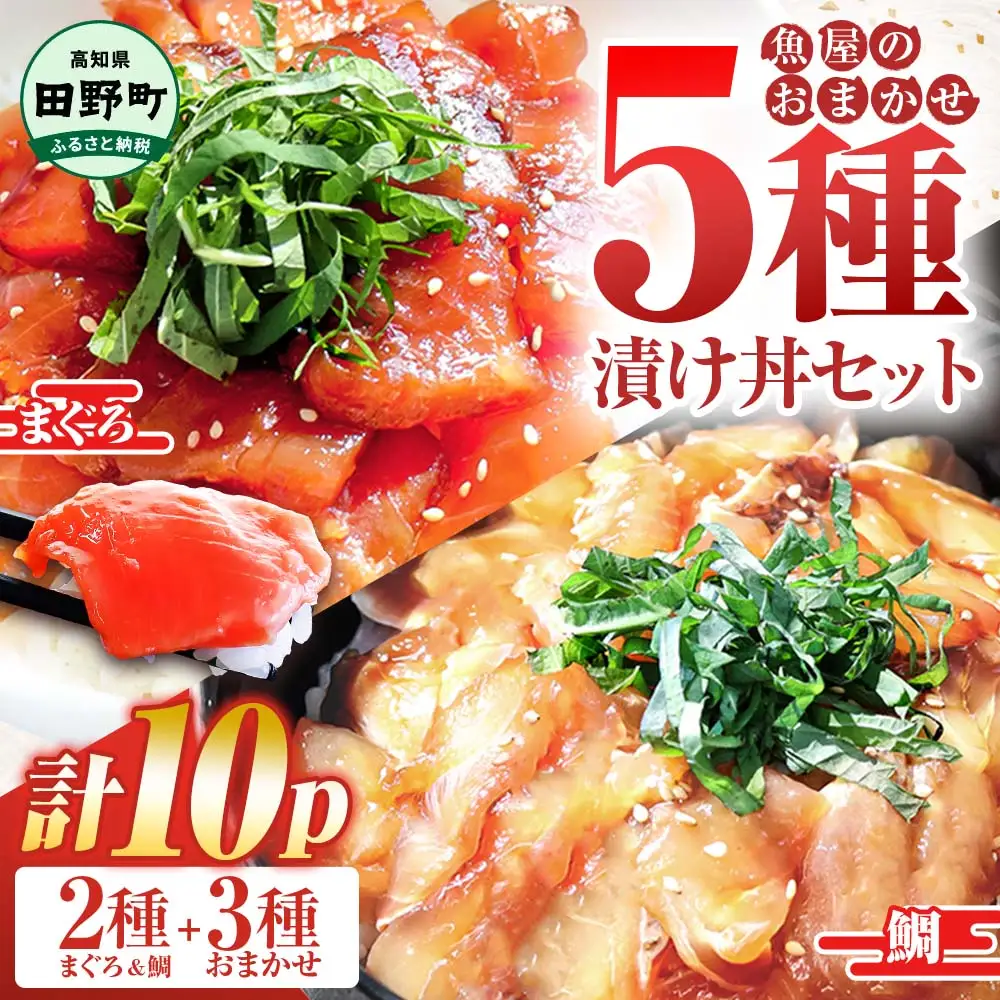 漬け丼 海鮮5種食べ比べセット 訳あり 5種×2P 計10パック 各80g【漬け丼】